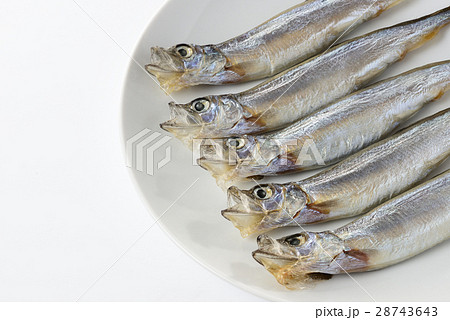 子持ち からふとししゃも 子持ち からふとししゃも 28743643