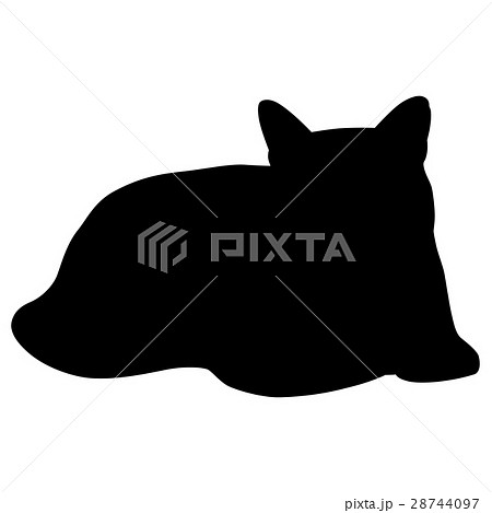 Black silhouette of cat. Vector illustration. 28744097