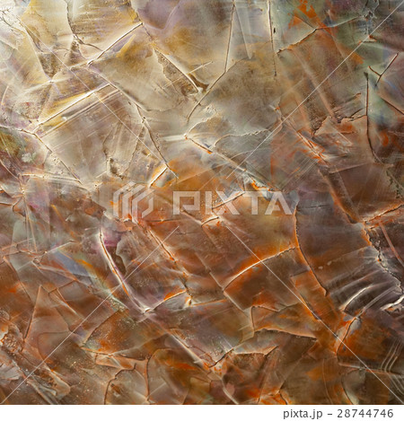 Brush Strokes Wall 28744746
