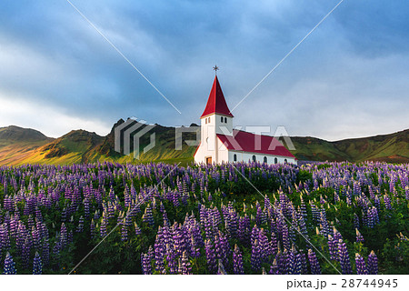 Myrdal Myrdal 28744945