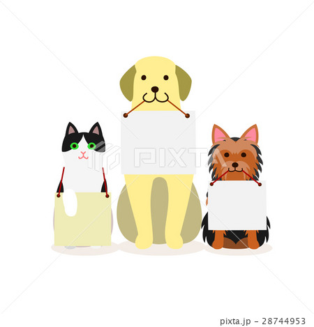 犬と猫の小グループ　メッセージ 28744953