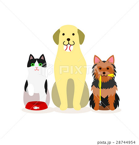犬と猫の小グループ　ペットサービス 28744954