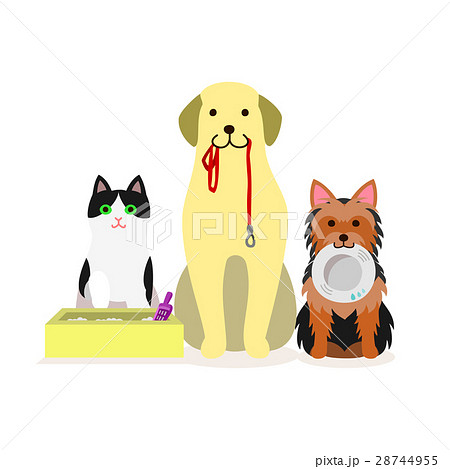 犬と猫の小グループ　ペットサービス 28744955