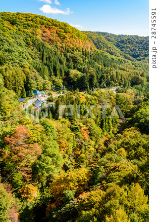 山里の秋 28745591