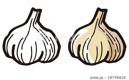 にんにくのイラスト素材