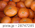 みかん(甘平) 28747285