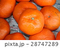みかん(甘平) 28747289