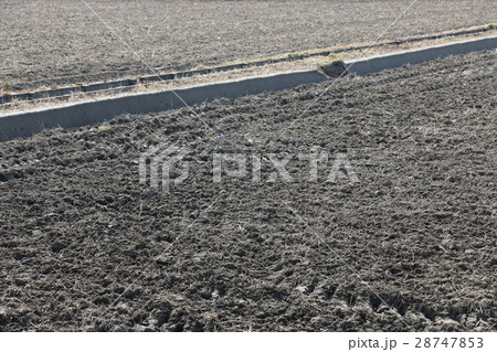 田植え前の作業、あぜぬり 田植え前の作業、あぜぬり 28747853