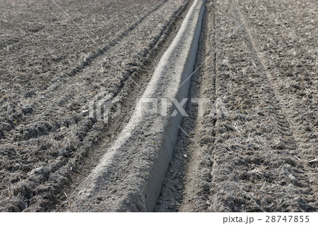 田植え前の作業、あぜぬり 28747855
