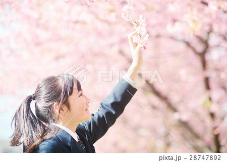 高校生と桜 28747892
