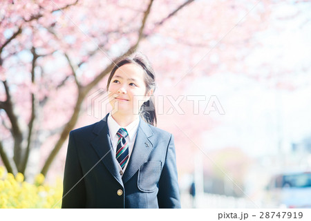 高校生と桜 高校生と桜 28747919