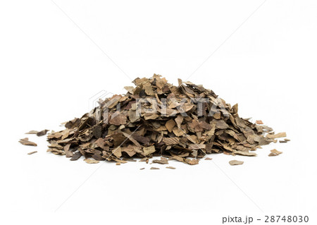 イチョウ葉（お茶用）: Ginkgo leaves 28748030