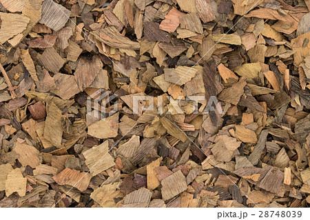 イチョウ葉(お茶用): Ginkgo leaves イチョウ葉(お茶用): Ginkgo leaves 28748039