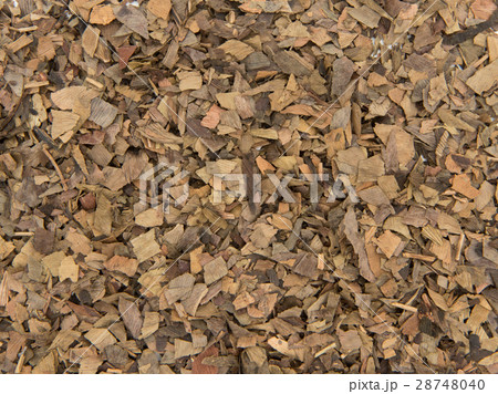 イチョウ葉（お茶用）: Ginkgo leaves 28748040