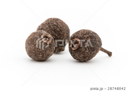オールスパイス: Allspice オールスパイス: Allspice 28748042
