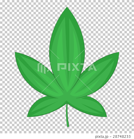 Cannabis leaf icon, cartoon style 28748233