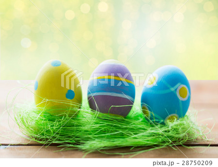 close up of colored easter eggs and grass close up of colored easter eggs and grass 28750209