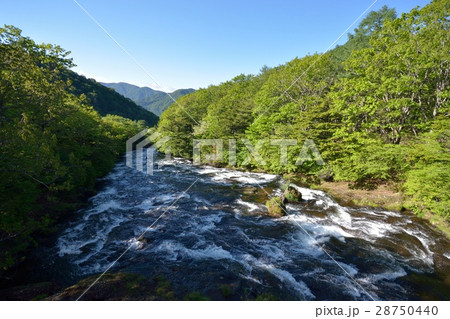 新緑と滝 28750440