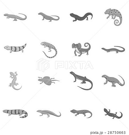 Lizard Icons Set Monochrome Styleのイラスト素材
