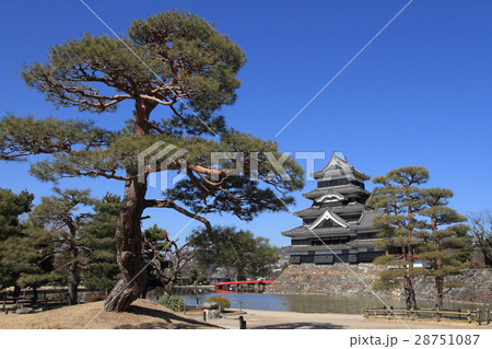 国宝　松本城 28751087