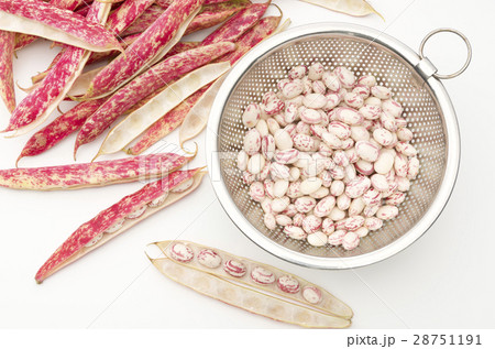 うずら豆 28751191