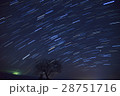 星空の一本桜 28751716