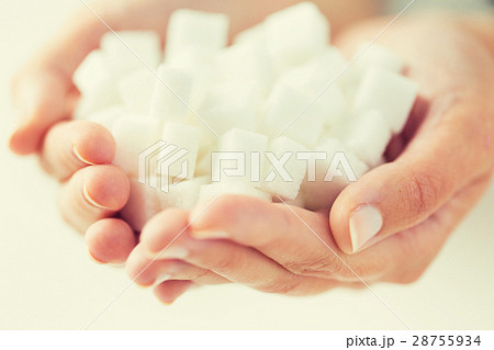 close up of white lump sugar in woman hands 28755934