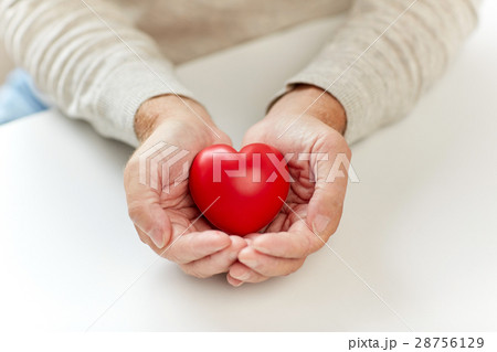 close up of senior man with red heart in hands 28756129