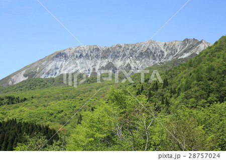 新緑の大山　鍵掛峠 28757024