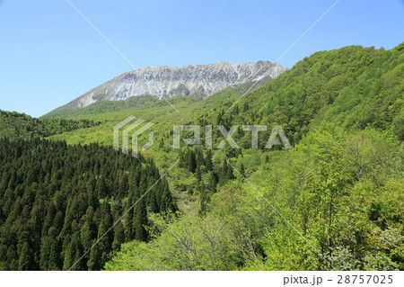新緑の大山　鍵掛峠 28757025