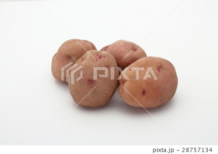 ジャガイモ ベニアカリ 28757134