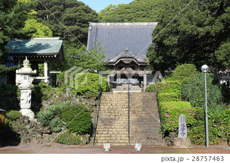 蓮着寺 蓮着寺 28757463