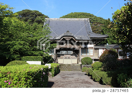 蓮着寺 蓮着寺 28757465