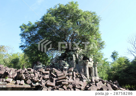密林に眠る古代寺院跡 アンコール遺跡群 カンボジア 密林に眠る古代寺院跡 アンコール遺跡群 カンボジア 28758286