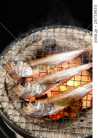 ハタハタ　一夜干し 28759655