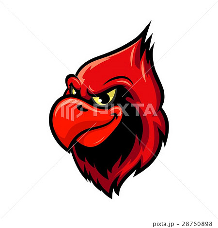 Cardinal bird cartoon mascot design 28760898