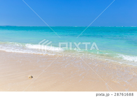 南国沖縄_絶景純白ビーチ 28761688