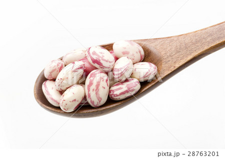 うずら豆 28763201