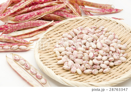 うずら豆 うずら豆 28763347