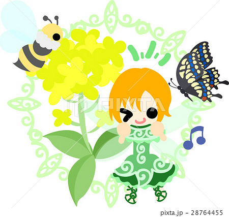 可愛い妖精と綺麗な菜の花と蝶と蜂のイラストのイラスト素材