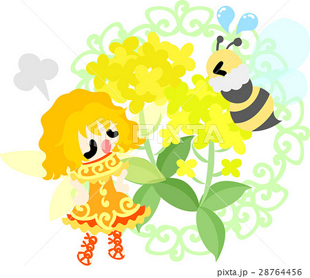 可愛い妖精と綺麗な菜の花と蜂のイラストのイラスト素材