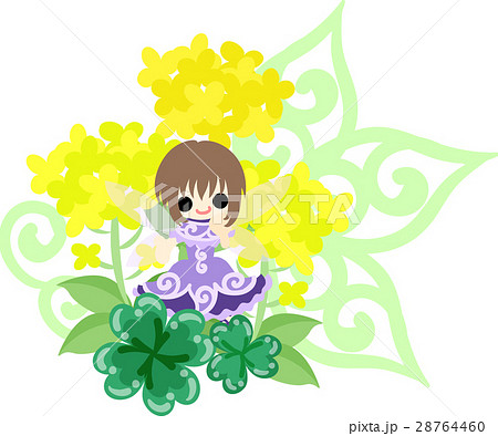 可愛い妖精と綺麗な菜の花とクローバーのイラストのイラスト素材
