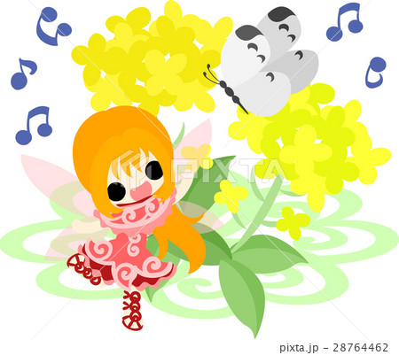 可愛い妖精と綺麗な菜の花と蝶のイラストのイラスト素材