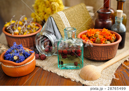 Healing herbs and tinctures in bottles 28765499