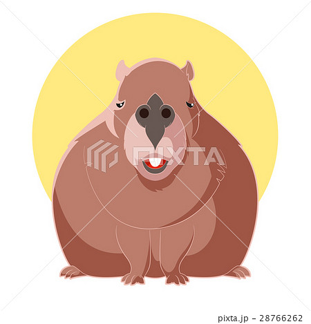 Cartoon smiling Capybara 28766262