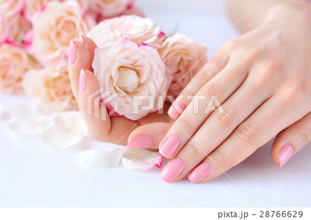 Hands of a woman with pink manicure on nails Hands of a woman with pink manicure on nails 28766629