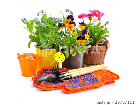 Gardening tools and spring flowers Gardening tools and spring flowers 28767111