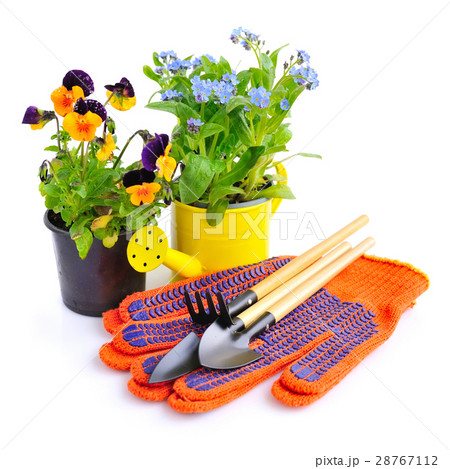 Gardening tools and spring flowers Gardening tools and spring flowers 28767112