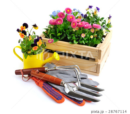 Gardening tools and flowers isolated Gardening tools and flowers isolated 28767114