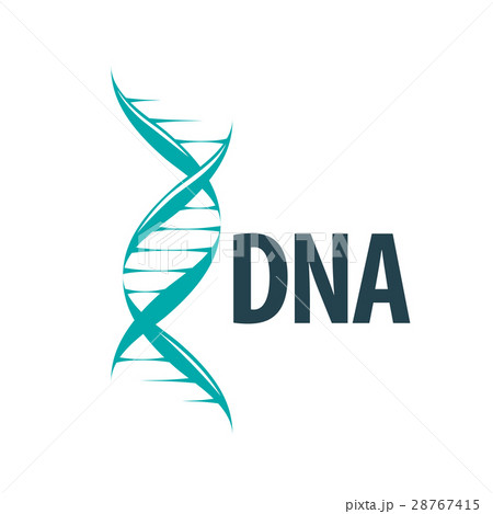 vector logo dna vector logo dna 28767415